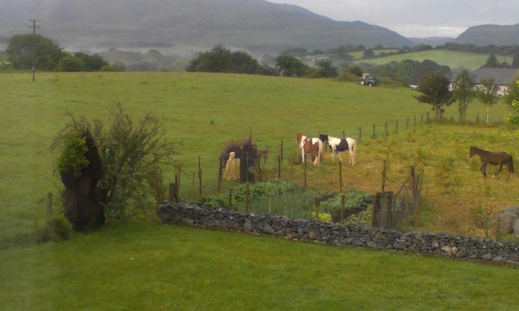 Dunn Court House Bed and Breakfast Killarney Buitenkant foto