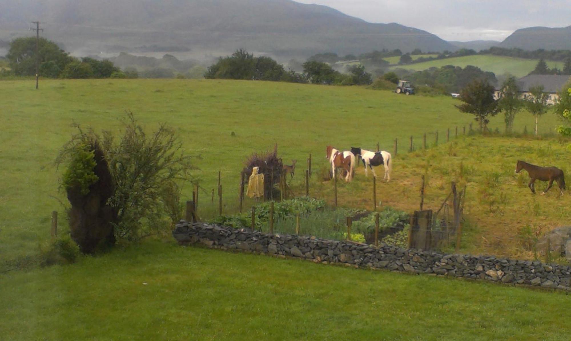 Dunn Court House Bed and Breakfast Killarney Buitenkant foto
